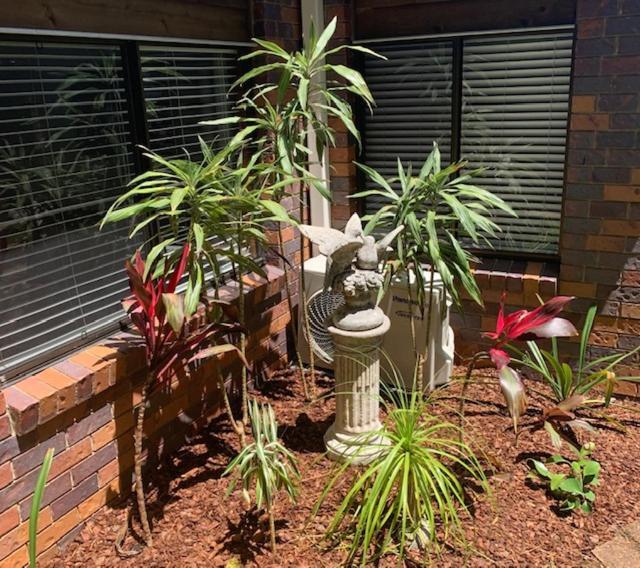 Montville Holiday Apartments Exterior foto